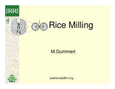 Microsoft PowerPoint - Rice milling with new IRRI logo