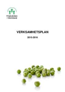 VERKSAMHETSPLAN  Verksamhetsplan för Friskvården i Värmland