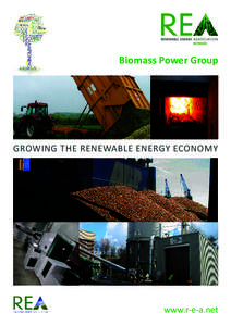 Biomass Power Group  GROWING THE RENEWABLE ENERGY ECONOMY www.r-e-a.net