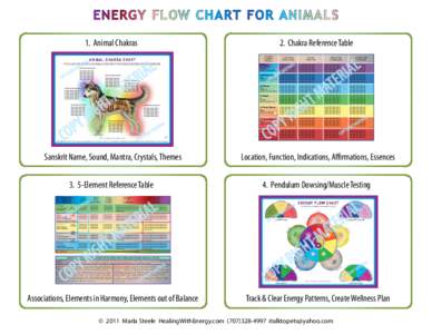 energy flow chart for anim als 1. Animal Chakras al eri  2. Chakra Reference Table