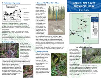 5	 Sinkholes are Depressing  7	 Epikarst – The “Outer Skin” of Karst Beside the trail are two sinkholes – funnel-shaped depressions formed by collapse of subsurface openings