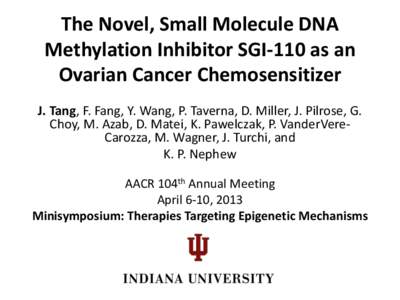 The Novel, Small Molecule DNA Methylation Inhibitor SGI-110 as an Ovarian Cancer Chemosensitizer J. Tang, F. Fang, Y. Wang, P. Taverna, D. Miller, J. Pilrose, G. Choy, M. Azab, D. Matei, K. Pawelczak, P. VanderVereCarozz