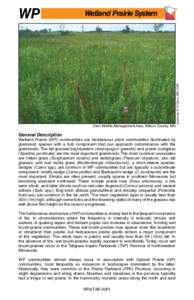 Wetland Prairie System  Ulen Wildlife Management Area, Kittson County, MN General Description