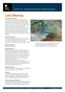 Microsoft Word - lake_mackay.doc