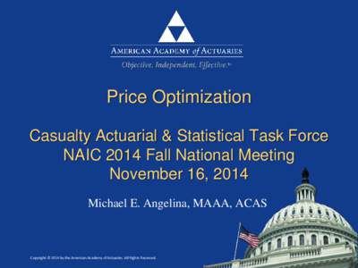 Price Optimization Casualty Actuarial & Statistical Task Force NAIC 2014 Fall National Meeting November 16, 2014 Michael E. Angelina, MAAA, ACAS