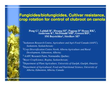 Fungicides/biofungicides, Cultivar resistance, crop rotation for control of clubroot on canola Peng G1, Lahlali R1, Hwang SF2, Pageau D3 Hynes RK1, Anderson K4, McDonald MR5, Gossen BD1, SM Boyetchko1, Strelkov SE6 1Sask