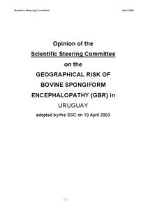 Microsoft Word - URUGUAY Opinion[removed]for publication 14 April 2003.doc