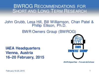 BWROG RECOMMENDATIONS FOR SHORT AND LONG TERM RESEARCH John Grubb, Lesa Hill, Bill Williamson, Chan Patel & Phillip Ellison, Ph.D. BWR Owners Group (BWROG)