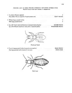 PSOCIDS: KEY TO SOME SPECIES COMMONLY INFESTING STORED FOOD Harold George Scott and Chester J. Stojanovich I. 	 Two distinct thoracic segments. .... ........ .................. .... ........ ... 2