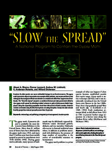 “Slow the Spread” Courtesy of USDA Forest Service A National Program to Contain the Gypsy Moth  ABSTRACT