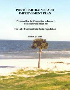 PONTCHARTRAIN BEACH IMPROVEMENT PLAN Prepared for the Committee to Improve Pontchartrain Beach by: The Lake Pontchartrain Basin Foundation