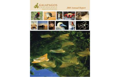 2005 Annual Report  Letter from the Chairman of the Board The letter from the President highlights the important role that people have played in protecting Galapagos, and salutes the efforts of a relatively small group 
