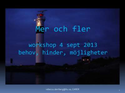 Mer och fler workshop 4 sept 2013 behov, hinder, möjligheter , CARER