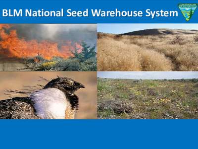 BLM Seed Warehouse System