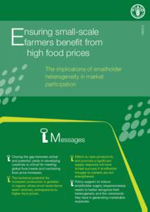 The implications of smallholder heterogeneity in market participation Messages