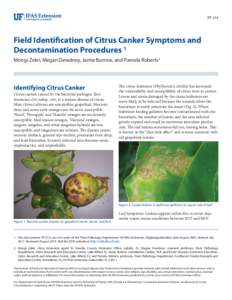 PP-214  Field Identification of Citrus Canker Symptoms and Decontamination Procedures 1 Mongi Zekri, Megan Dewdney, Jamie Burrow, and Pamela Roberts2