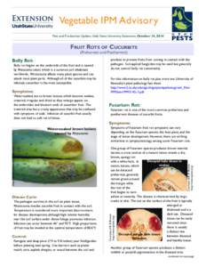 Vegetable IPM Advisory Pest and Production Update, Utah State University Extension, October 14, 2014 Fruit Rots of Cucurbits (Preharvest and Postharvest)
