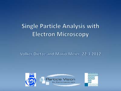 Single Particle Analysis with Optical and Scanning Electron Microscopy