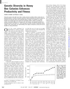 Genetic Diversity in Honey Bee Colonies Enhances Productivity and Fitness Heather R. Mattila* and Thomas D. Seeley Honey bee queens mate with many males, creating numerous patrilines within colonies that are genetically 