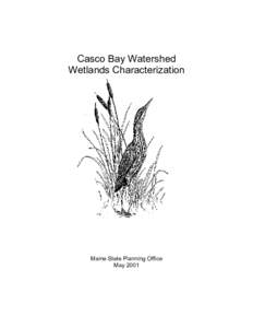 Casco Bay Watershed Wetlands Characterization Maine State Planning Office May 2001