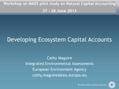 Workshop on MAES pilot study on Natural Capital AccountingJune 2013 Developing Ecosystem Capital Accounts Cathy Maguire Integrated Environmental Assessments