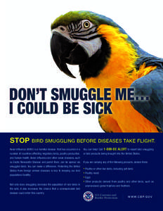 STOP BIRD SMUGGLING BEFORE DISEASES TAKE FLIGHT[removed]BE ALERT to report bird smuggling Avian influenza (H5N1) is a harmful disease that has occurred in a  You can help! Call
