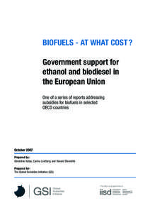 BIOFUELS - AT WHAT COST ? Government support for ethanol and biodiesel in the European Union One of a series of reports addressing subsidies for biofuels in selected