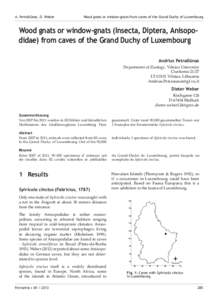 A. Petrašiūnas, D. Weber	  Wood gnats or window-gnats from caves of the Grand Duchy of Luxembourg Wood gnats or window-gnats (Insecta, Diptera, Anisopodidae) from caves of the Grand Duchy of Luxembourg Andrius Petraši