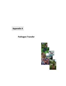 Appendix X  Pathogen Transfer Contents X. PATHOGEN TRANSFER