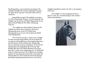 The Racking Horse is most noted for his smooth gaits. The Godfather exemplifies this easy way of going while being alert and stylish. He was a pleasure to train and a thrill to watch in competition. Jimmy Wehunt acquired