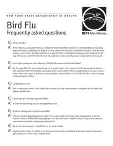 N E W YO R K S TAT E D E PA R T M E N T O F H E A LT H  Bird Flu Frequently asked questions Q) What is bird ﬂu?