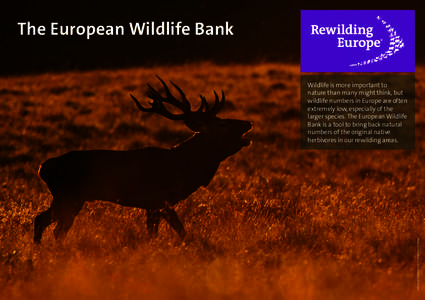 The European Wildlife Bank Wildlife is more important to nature than many might think, but wildlife numbers in Europe are often extremely low, especially of the larger species. The European Wildlife