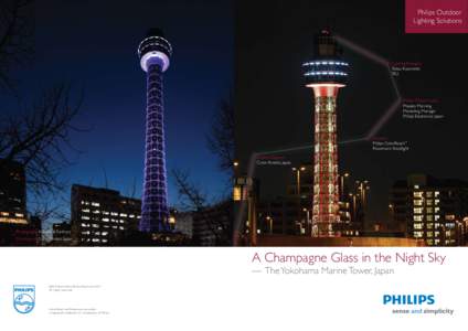 Philips Outdoor Lighting Solutions Lighting Designer	 Takao Kusumoto TK2