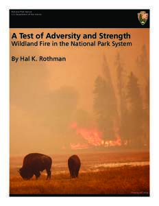 National Park Service U.S. Department of the Interior A Test of Adversity and Strength Wildland Fire in the National Park System By Hal K. Rothman