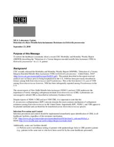 Detection of a Rare Metallo-beta-lactamamse Resistance in Klebsiella pneumoniae