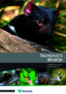 Tasmania’s Wildlife Tasmania’s Wildlife