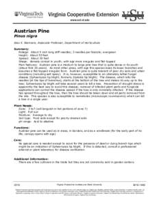 Austrian Pine Pinus nigra Alex X. Niemiera, Associate Professor, Department of Horticulture Summary: Foliage: About 5 inch long stiff needles; 2 needles per fascicle; evergreen