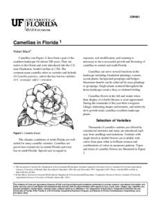 Camellia / Peony / Soil pH / Rose / Double-flowered / Cornus florida / Flowers / Flora of the United States / Botany