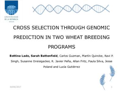 CROSS SELECTION THROUGH GENOMIC PREDICTION IN TWO WHEAT BREEDING PROGRAMS Bettina Lado, Sarah Battenfield, Carlos Guzman, Martín Quincke, Ravi P. Singh, Susanne Dreisigacker, R. Javier Peña, Allan Fritz, Paula Silva, J