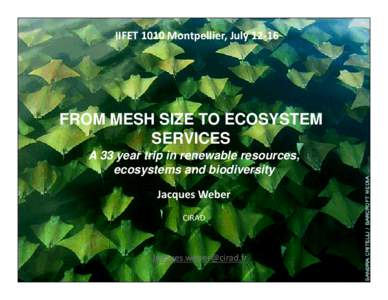 IIFET 1010 Montpellier, July 12‐16   FROM MESH SIZE TO ECOSYSTEM SERVICES A 33 year trip in renewable resources, ecosystems and biodiversity