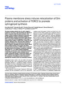 LETTERS  Plasma membrane stress induces relocalization of Slm proteins and activation of TORC2 to promote sphingolipid synthesis Doris Berchtold1,7 , Manuele Piccolis2,7 , Nicolas Chiaruttini3 , Isabelle Riezman3 , Howar