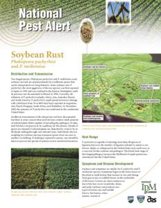 National Pest Alert Soybean Rust Phakopsora pachyrhizi and P. meibomiae Distribution and Transmission