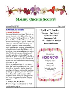 MALIBU ORCHID SOCIETY Volume XLVIII, VIV President’s Message: Annual Auction Our most important meeting of the year, our