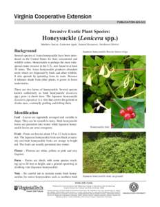 Botany / Chemistry / Biology / Invasive plant species / Lonicera / Diervilla lonicera / Diervilla / Honeysuckle / Glyphosate / Dipsacales / Shrubs / Herbicides