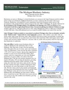 The Michigan Blueberry Industry Mark Longstroth and Eric Hanson Michigan State University Blueberries are native to Michigan. Lowbush blueberries are common in the Upper Peninsula and the northern forests of the Lower Pe