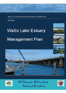 A Vision for Wallis Lake – Centre of Excellence It is a vision of Great Lakes Council to make Wallis Lake a Centre of Excellence by: • facilitating novel and innovative research into natural resource management issu