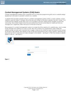 Pulse CMS / Flash CMS / Content management systems / Software / Website