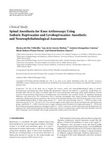 Spinal Anesthesia for Knee Arthroscopy Using Isobaric Bupivacaine and Levobupivacaine: Anesthetic and Neuroophthalmological Assessment