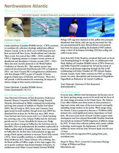 Northwestern Atlantic Marine Bird Cooperative Fall 2010 Update: Seabird Research and Conservation Activities in the Northwestern Atlantic  Northeast Region