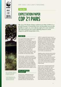COP21_Policy-Brief v4.indd